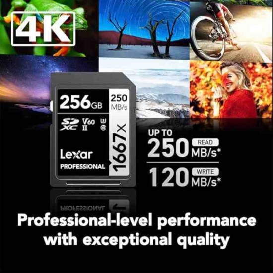 Lexar® Professional 1667x SDXC™ UHS-II Card SILVER Series (256GB)