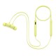 Beats Flex — All-Day Wireless Earphones (Yuzu Yellow)