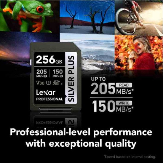 Lexar® Professional SILVER PLUS SDXC™ UHS-I Card (256GB)
