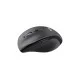 Logitech Marathon Mouse M705 Wireless Mouse Logitech Marathon Mouse M705 Wireless Mouse