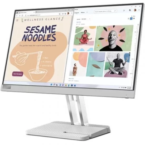 Lenovo L22e-40 (21.5 inch") Monitor 