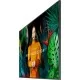 Samsung QBC Series 50 Inch" UHD 4K HDR Commercial Monitor (Model : QB50C) Samsung QBC Series 50 Inch" UHD 4K HDR Commercial Monitor (Model : QB50C)